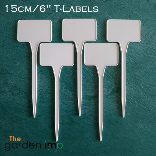 Plant labels white type - t, 15cm