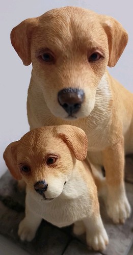 Sherratt and simpson labrador - simpson,