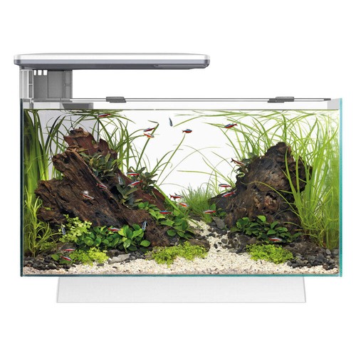 Superfish quadro pro - superfish, led