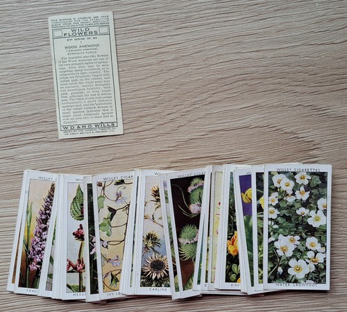 Full set cards wild - a,
