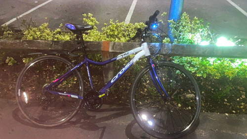 Cross blx 252 - womens, bike