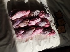 3 x 100g skeins Araucania Ruca Multy DK Hand dyed Sugar Cane yarn