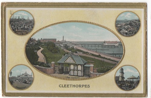 1243 printed mult view - 1243/printed, mult-view