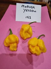 TRINIDAD  MORUGA SCORPION YELLOW  CHILLI SEEDS X 12