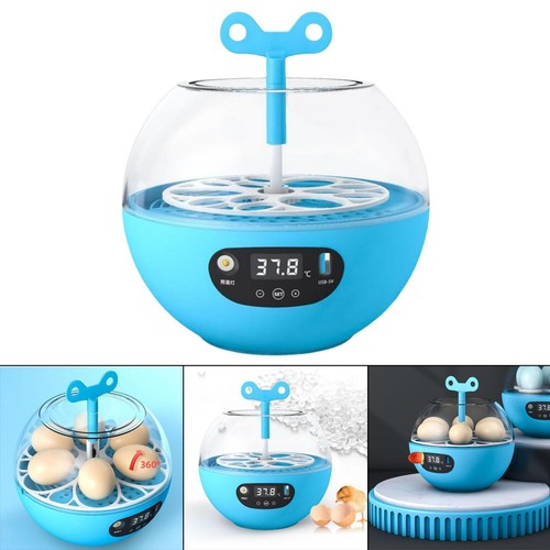 Mini egg incubator - egg,