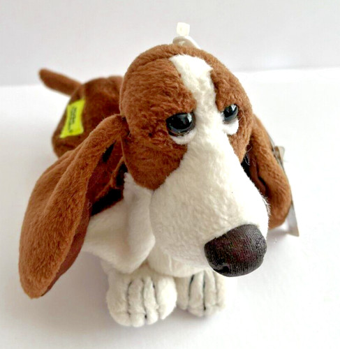 Hush puppies dog - hush,