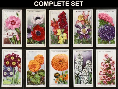 Garden flowers wills cigarette - wills,