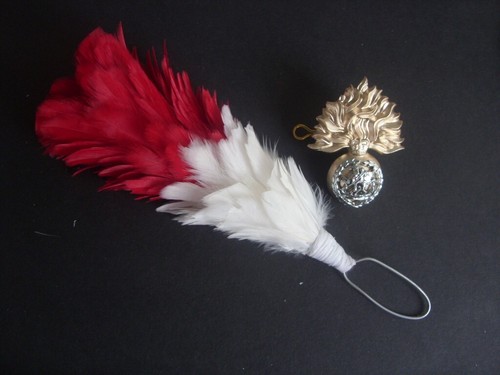 Royal regiment fusiliers - regiment, of