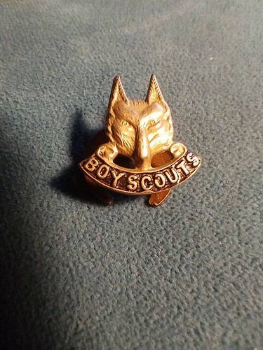Vintage 1960 boy - boy, scouts