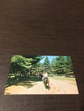 UNPOSTED POSTCARD - SILVER