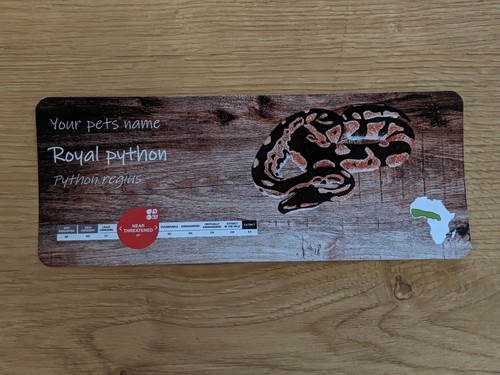 Royal ball python - ball, enclosure