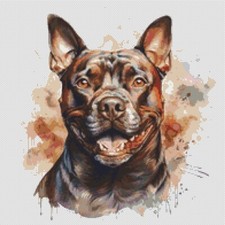 American Bully Puppy Dog