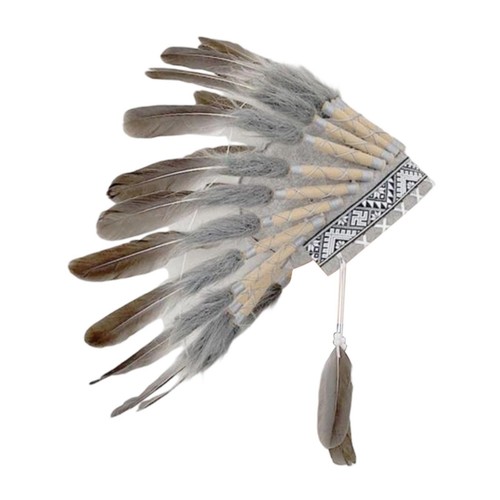 Feather indian headdress - feather,