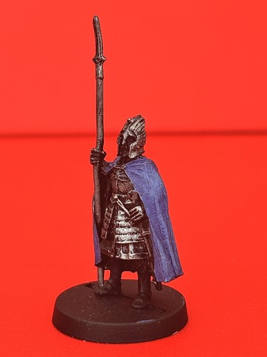 Minas tirith citadel guard - citadel,
