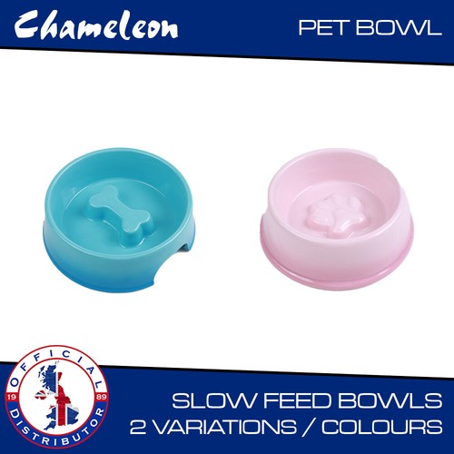 Pet bowl dog - pet,