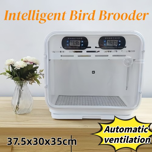 Intelligent poultry brooder - poultry,