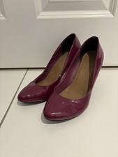 Dorothy Perkins parent fuchsia
