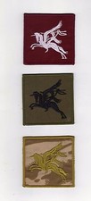 PARACHUTE REGIMENT PEGASUS ARM