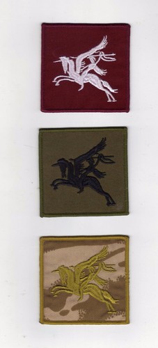 Parachute regiment pegasus - parachute,