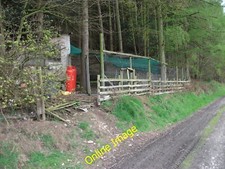 Photo 6x4 Game bird rearing &