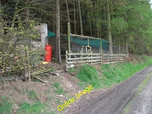 Photo 6x4 game - 6x4,