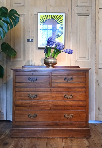 Edwardian walnut chest - edwardian,