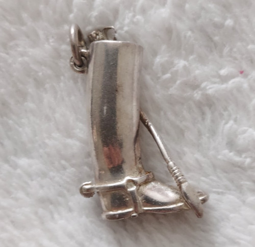 Stunning silver riding - riding, boot
