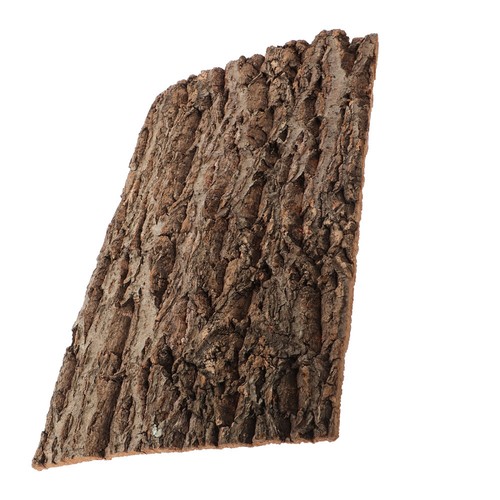 Reptile background terrarium - reptile,