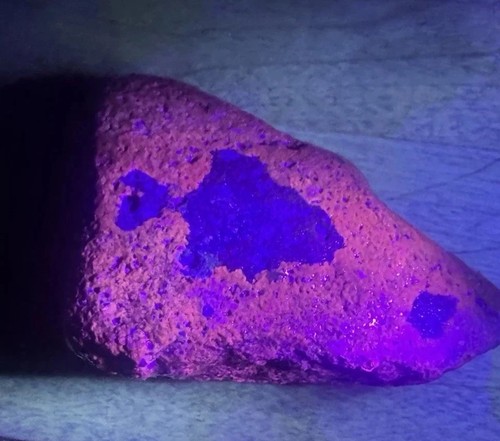 Rare fish fossil 48g - fossil,