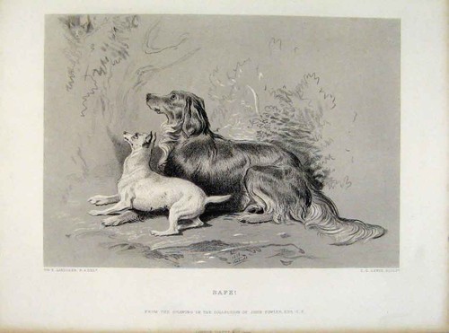 Original old antique print - original,