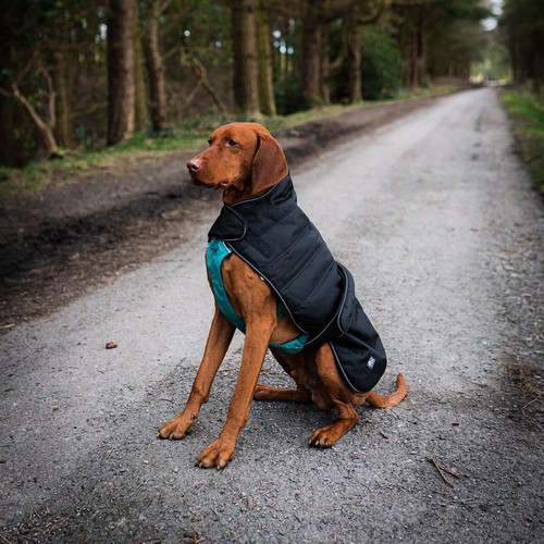 Danish design waterproof - danish,