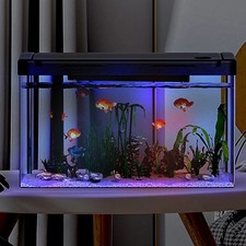 Mini Desktop Aquarium Starter Kit with Filter & Oxygen for Office or Home