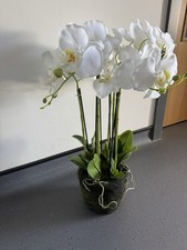 Real touch Orchid In Pot 6