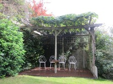 Lakemont Seedless Table Grape