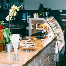 lamp Fiber Optic Light