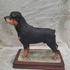 Border Fine Arts Dog