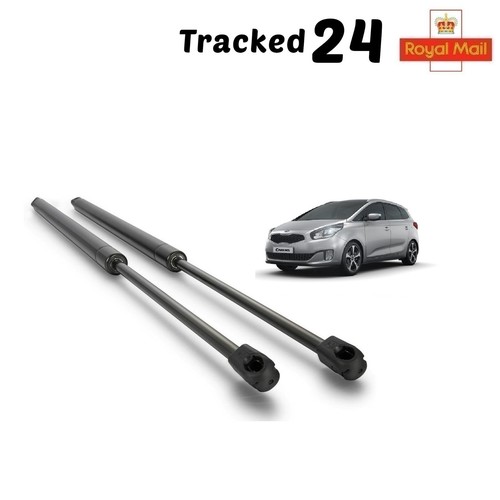 Rear tailgate boot gas - boot, struts