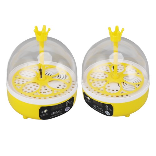 Mini egg incubator - incubator, home