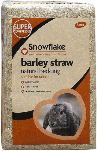 Snowflake large compressed - snowflake,