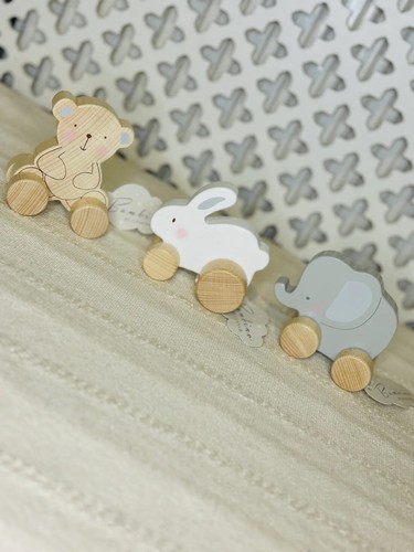 Personalised push along toy - push,