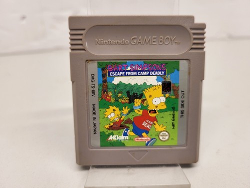 Bart simpson escape from - simpson, camp