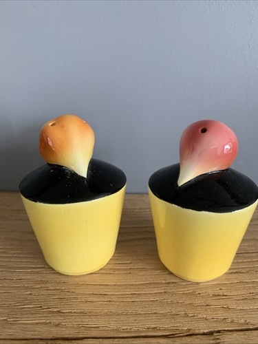 Vintage turnip and onion - turnip, salt