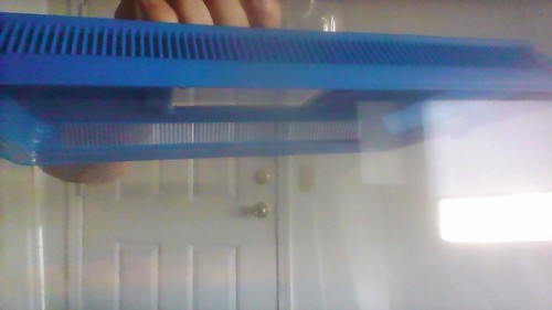 Rectangular insect cage - rectangular,