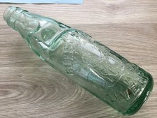 Stunning Large Bear Pictorial