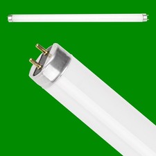 15W T8 18" 450mm Fluorescent