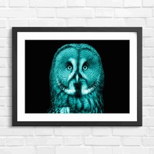 Intense Great Gray Owl Face