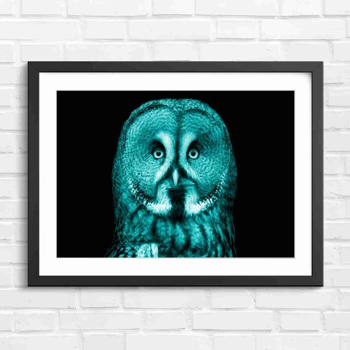 Intense great gray owl - intense, face