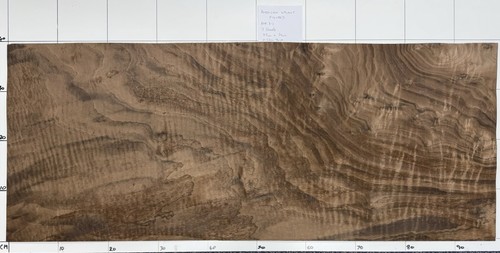 American walnut figured - figured, ripple