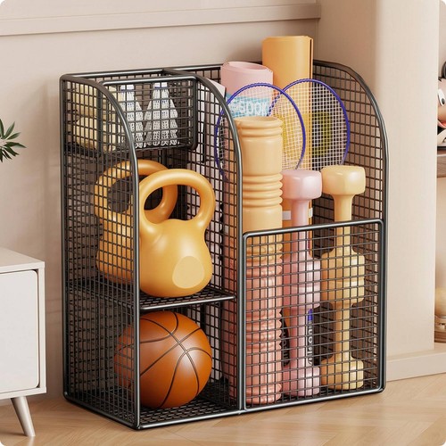 Home gym storage - gym, large