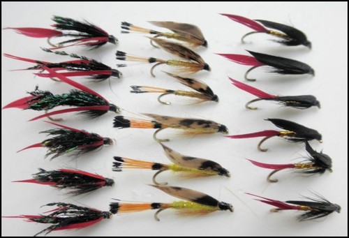 Sea trout flies large - sea,